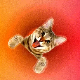 Cat Art 001 — ZYDRON (2021). Animação, Código generativo.