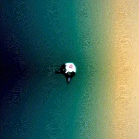 Cat Art 002 — ZYDRON (2021). Animação, Código generativo.
